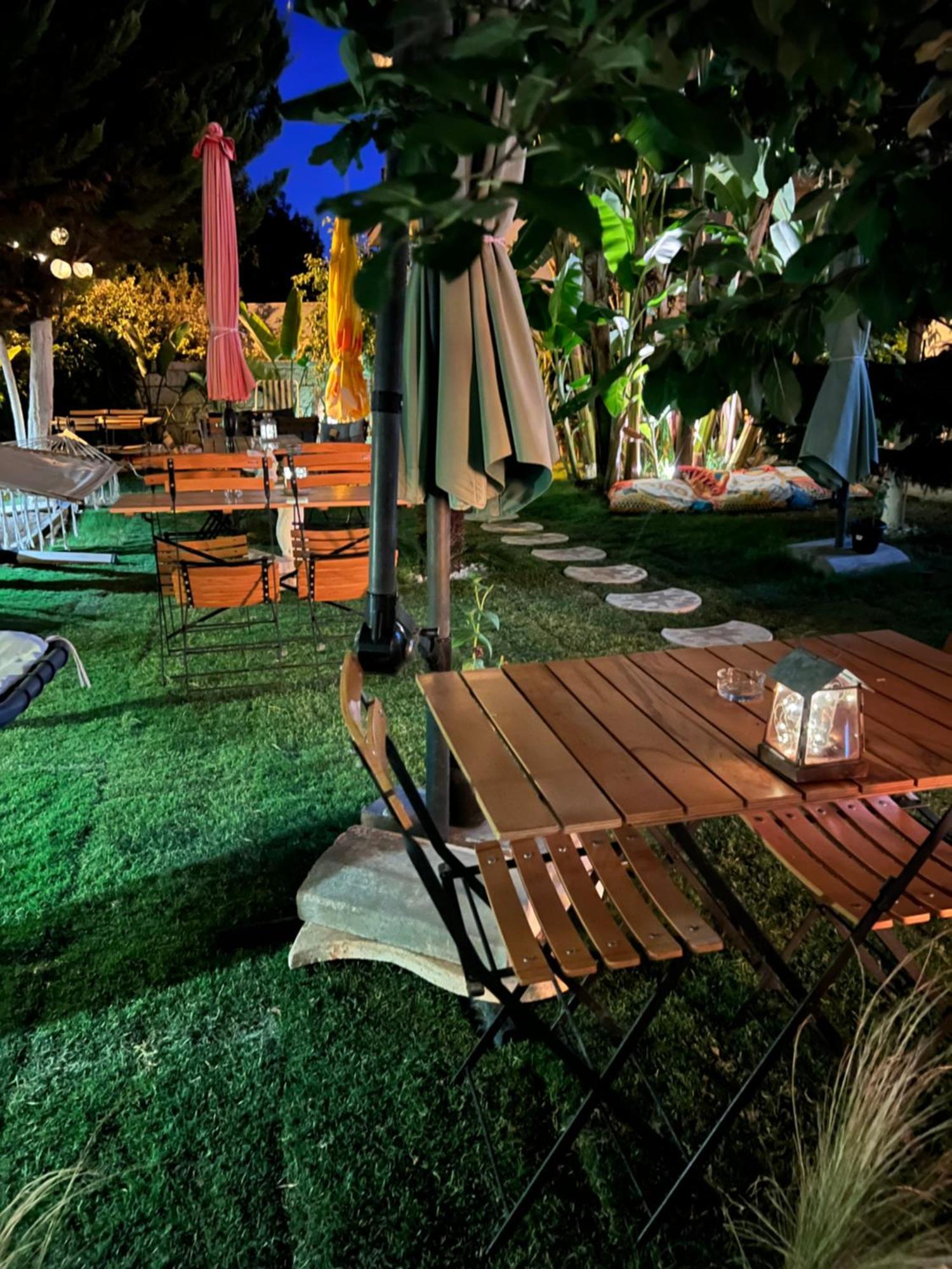 Luna ألاتشاتي المظهر الخارجي الصورة